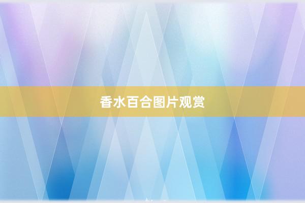 香水百合图片观赏