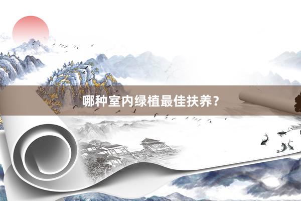 哪种室内绿植最佳扶养？